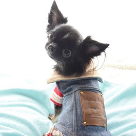 �����@�m�����������i�ɂʂӂ��j�i�����O�R�[�g�`���� �j1