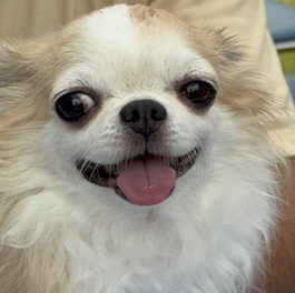 �]���i�`�����i�����O�R�[�g�j�j2 |