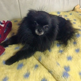  ���J�@�I���I�i�|�����j�A���j2