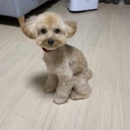  �c��PARM�i�g�C�v�[�h��)1