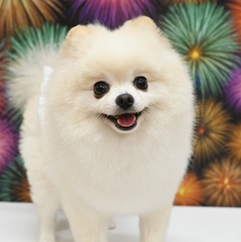 �|�|�i�|�����j�A���j2 |