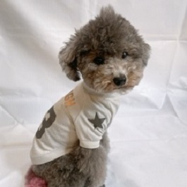 �����Ӂi�g�C�v�[�h���@�j 2