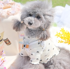 ���c RUM(����)�i�g�C�v�[�h���j|2