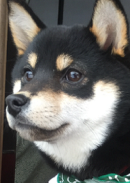 �����@���ہi�āj 1