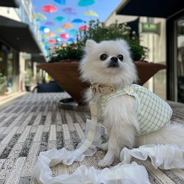 ���c�@Latte�@�i�|�����j�A��)2