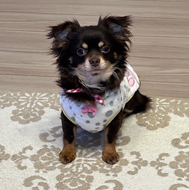 ���]���A�i�`�����j |2