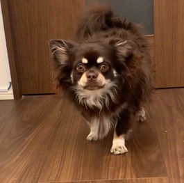 �������i�`�����j2 |