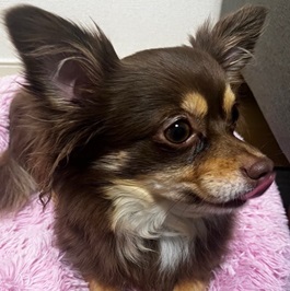 ���������iMIX�i�`�����~�|�����j�A���j�j�j2 |