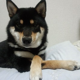 �{�c���I�@�i��)  2