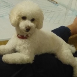 �~�c�肭�i�g�C�v�\�h��)2