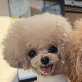 ���i�g�C�v�[�h���j1 |