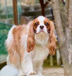 �R�{���r���i�L���o���A�j|2