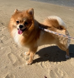 �ь˃��u�i�|�����j�A���j|2