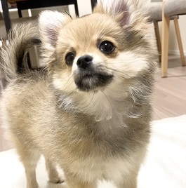 ���V�����@�iMIX�i�|�����j�A���~�`�����j2