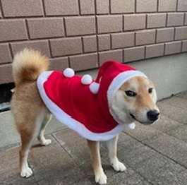 �o�����ӂ�[�i�āj|2