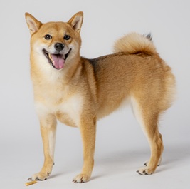 ������i�āj2 |