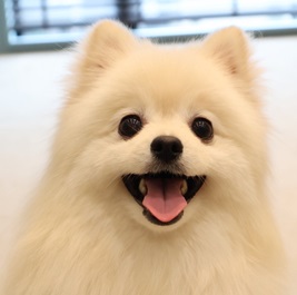 ���܃T���i�|�����j�A���j |1