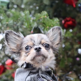  �₷���@�e���@�i�`����)2