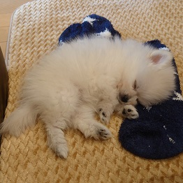 ����e�B�A���i�|�����j�A���j 2