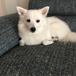  �������Ɓ@�e�B�t�@�@�i���{�X�s�b�c)2