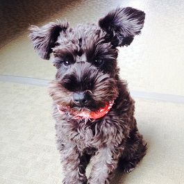 ������@�u�h�u�h�i�~�j�`���A�V���i�E�U�[�j2