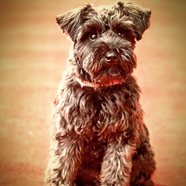 ������@�u�h�u�h�i�~�j�`���A�V���i�E�U�[�j1