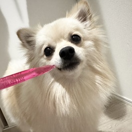 ���у��Y�i�|�����j�A���j1 |