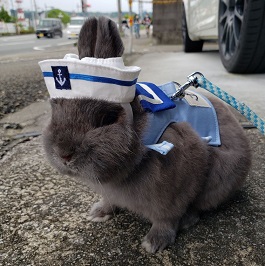 �ޖ��i���̂����j��(����)�i�������j 2