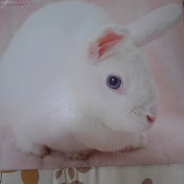 �c����сi�~�j�E�T�M�j1